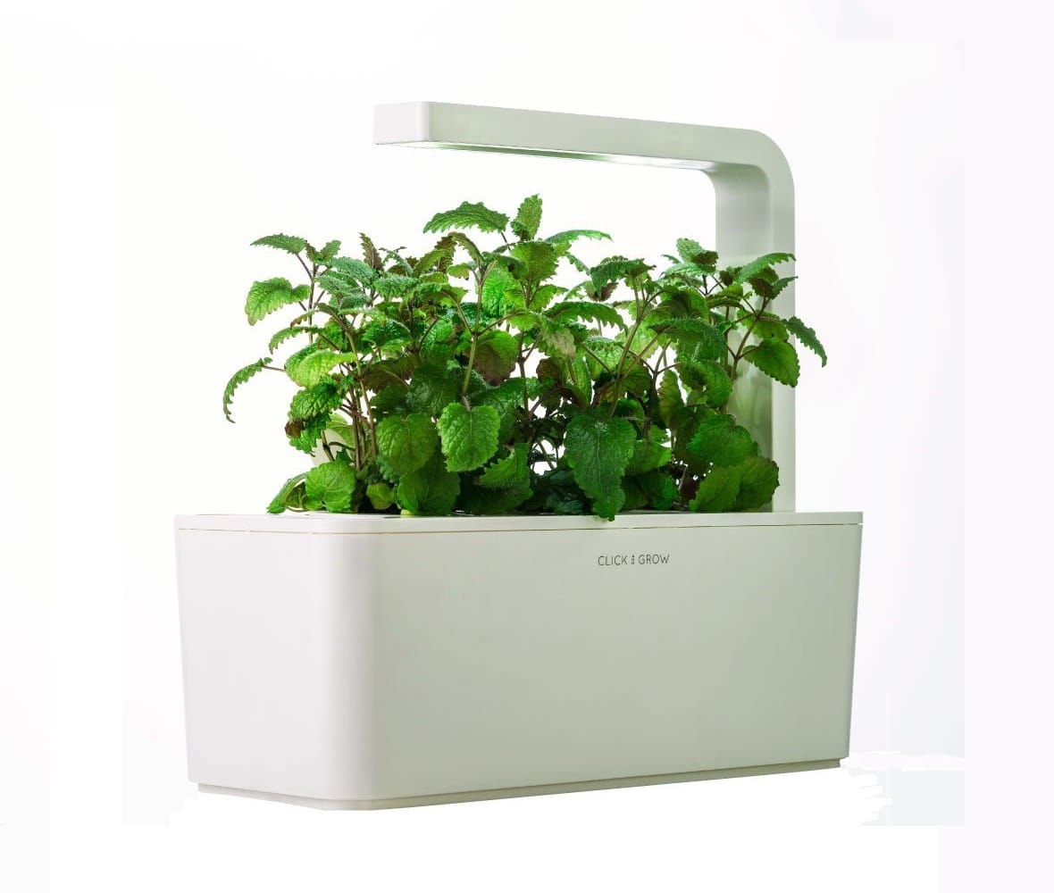 Click And Grow Herb Garden Inside