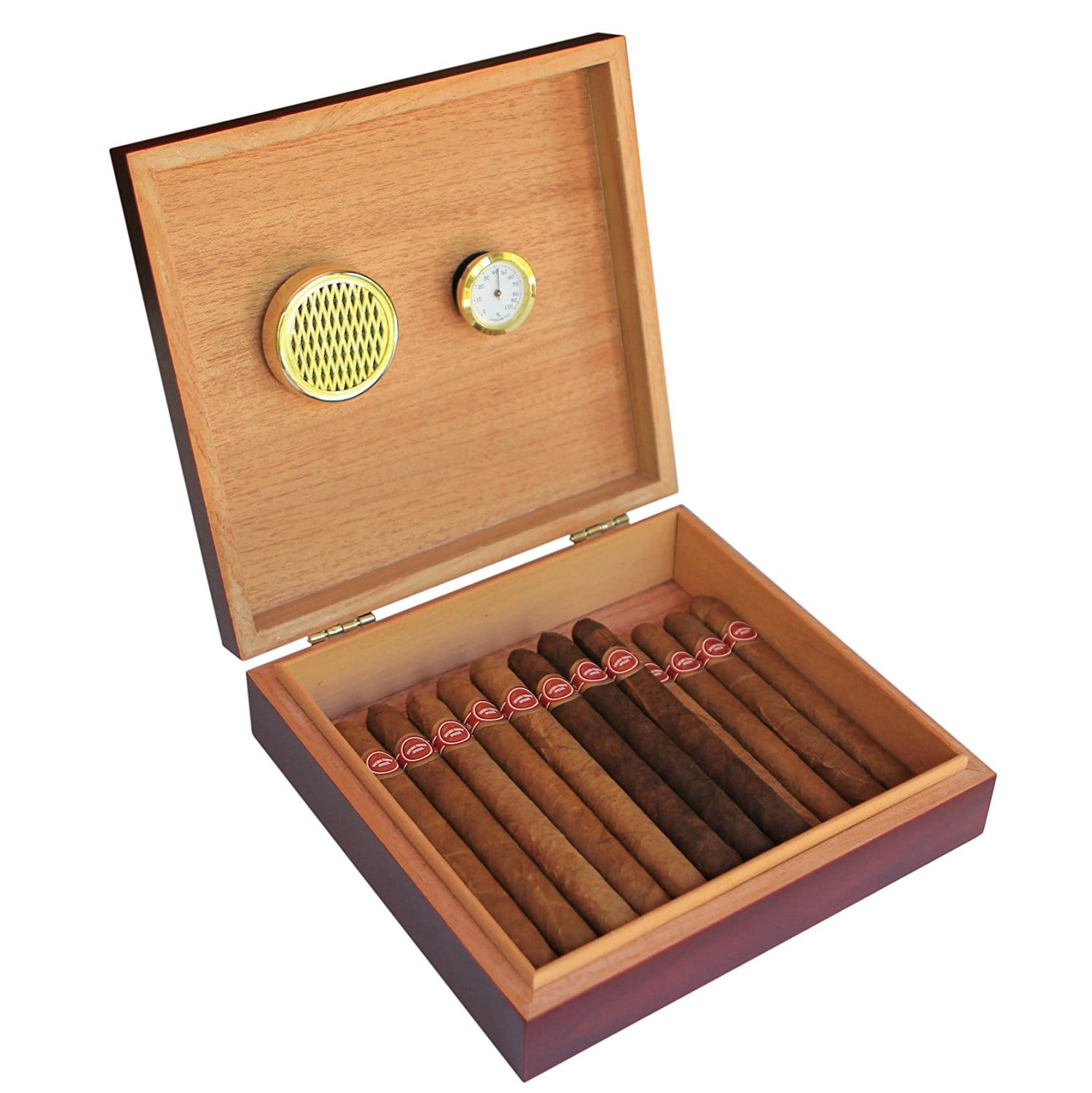 Best Budget Humidors