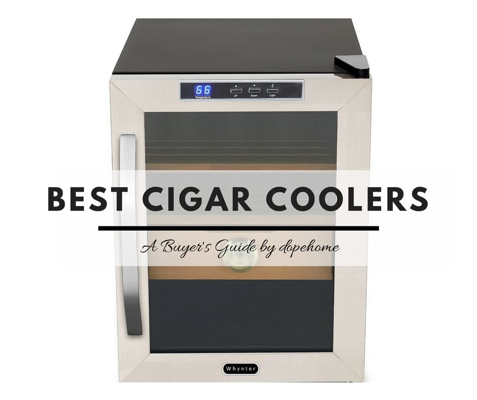 Best Cigar Coolers To Store Your Stogies