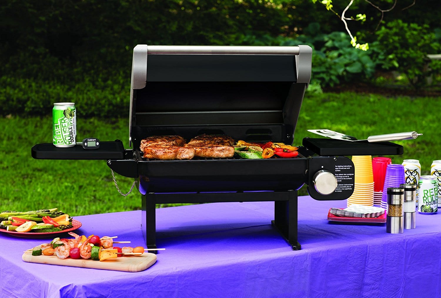 The Best Portable Gas Grills